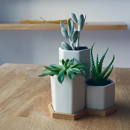 Apartmanhotel Havanaapartamentos Puerto de Vega