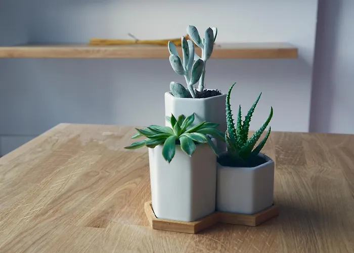 Apartahotel Havanaapartamentos Puerto de Vega